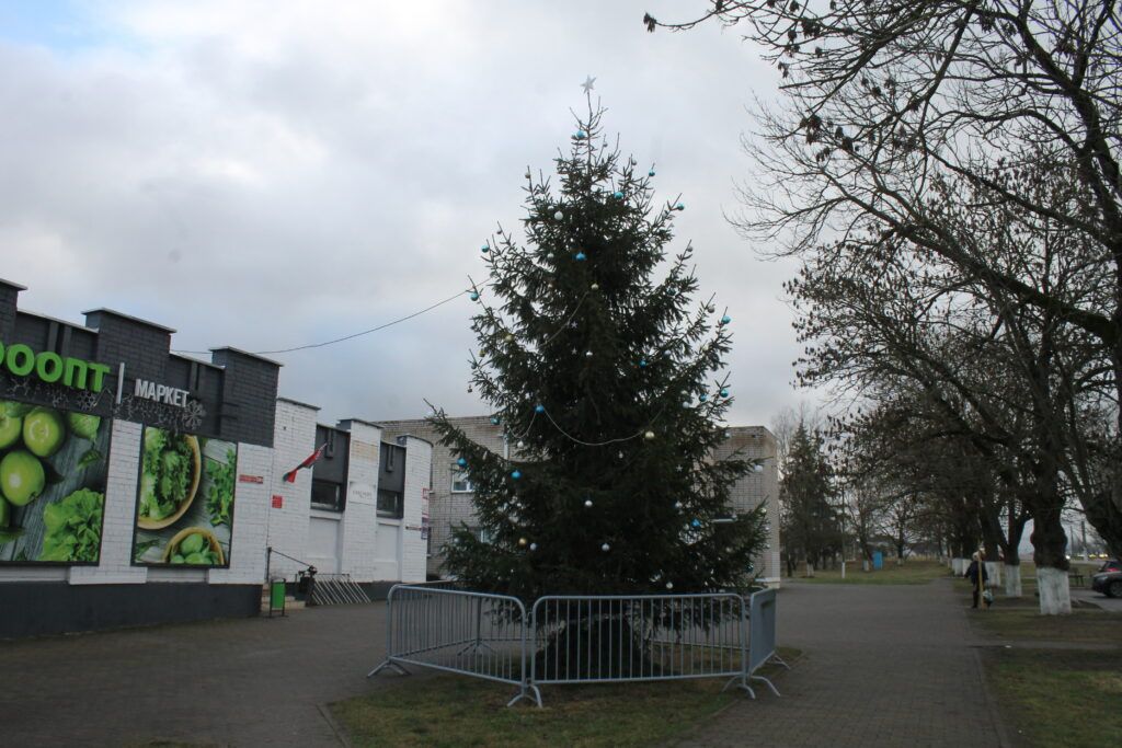 Подарил деревне праздник. Местный житель установил в центре Заречья елку