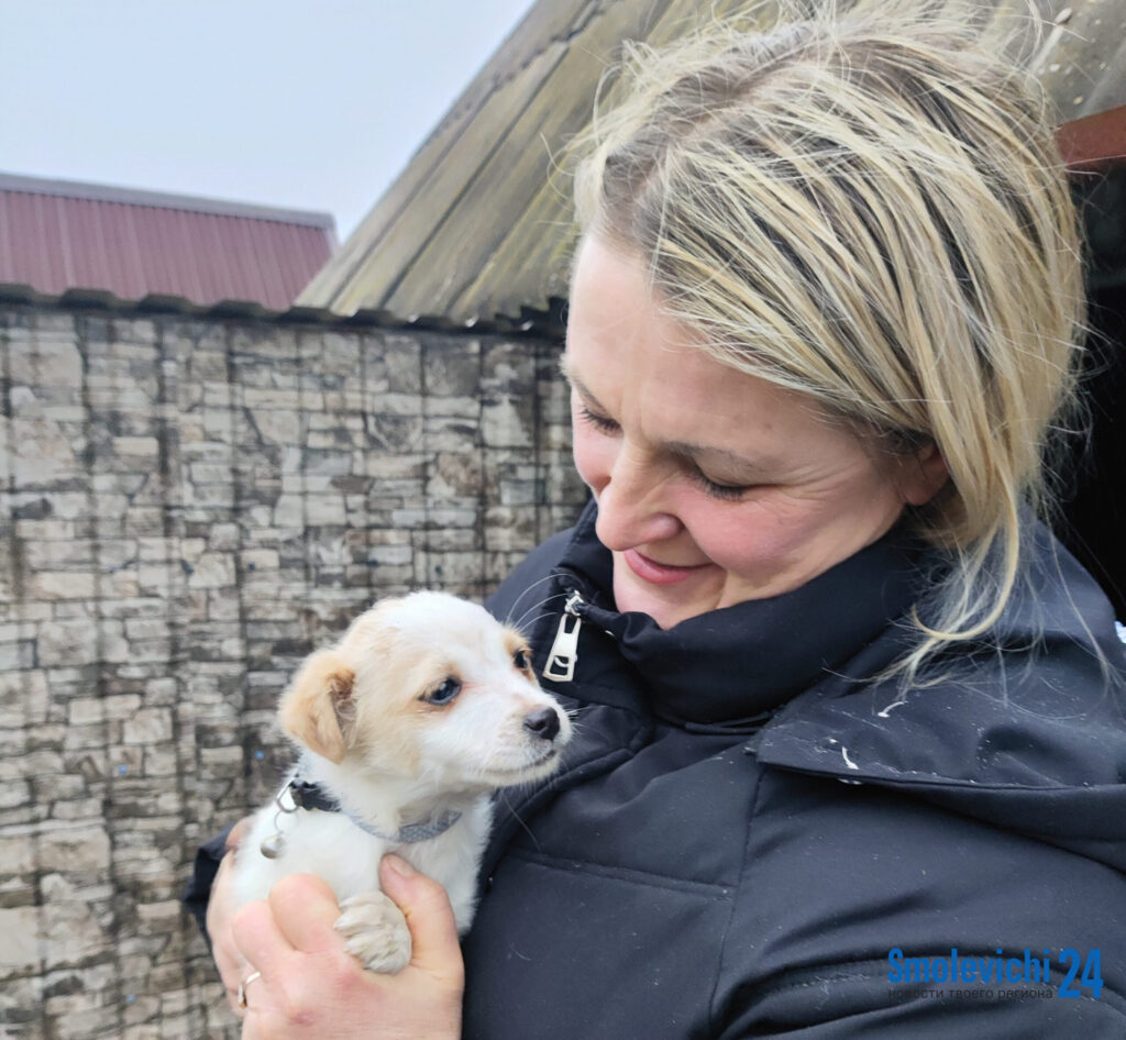 Ни имени, ни хозяина. Бездомный щенок из Калюжек ищет семью