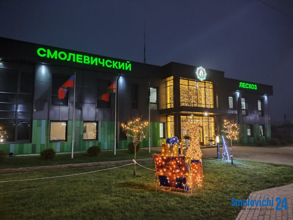 Смолевичский лесхоз засиял новогодним убранством