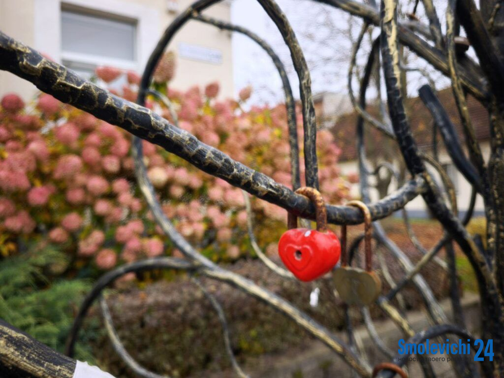 От 16 до 77 лет: узнали брачную статистику Смолевичского района