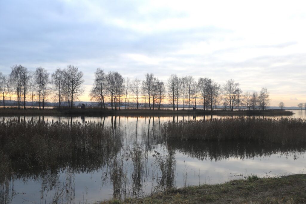 Лыжные трассы и стрельбище для биатлона. Возле озера появится новая зона отдыха