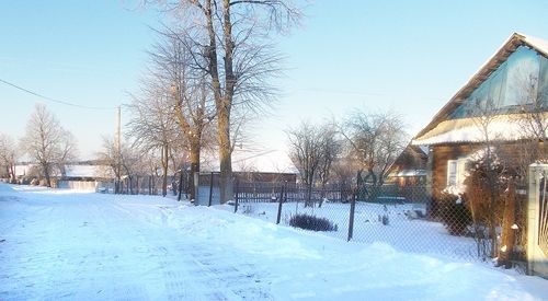 В Жодинском сельисполкоме с аукциона продадут 3 земельных участка