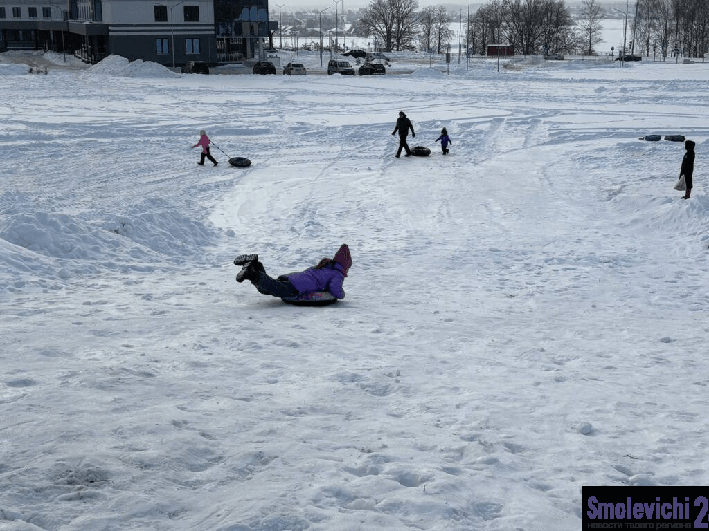 Обзор за неделю. Школьники вышли на лыжню, Дорэлектромаш и ЖКХ построили снежную горку, лось врезался в автобус
