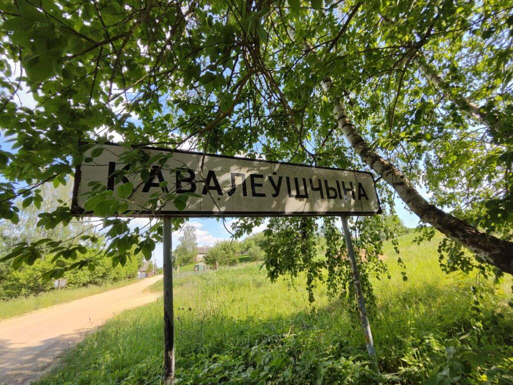 С аукциона продадут 2 земельных участка в Усяжском сельсовете