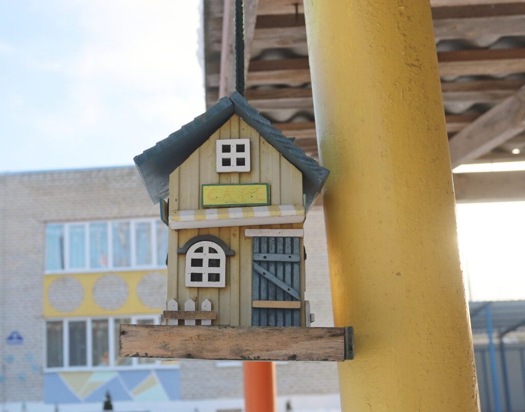 Как помочь птицам зимой?