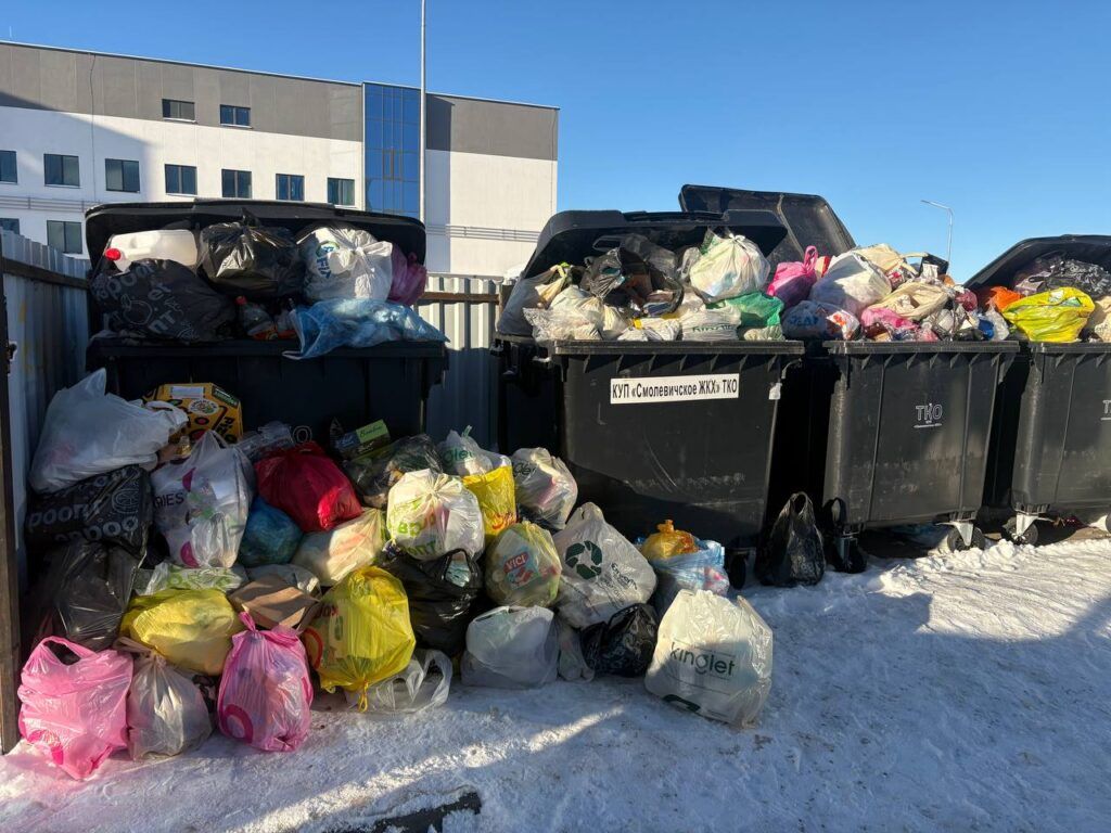Узнали, почему ЖКХ не вывозит мусор