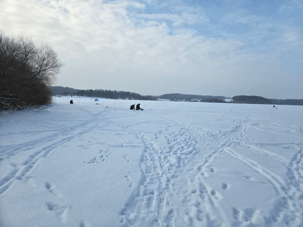 В Смолевичском районе пройдет рыболовный фестиваль — как подать заявку