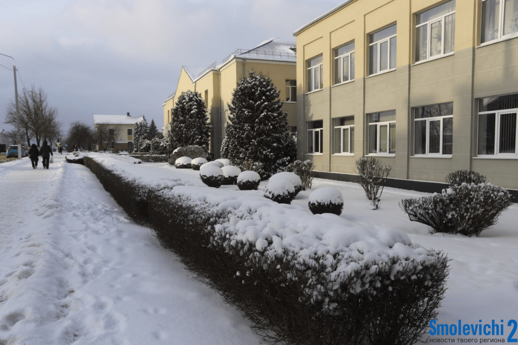 Чаще всего жалуются на дороги, освещение и санитарное состояние. Статистика обращений на портал 115