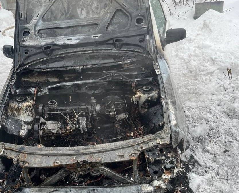 В Плисе горел автомобиль