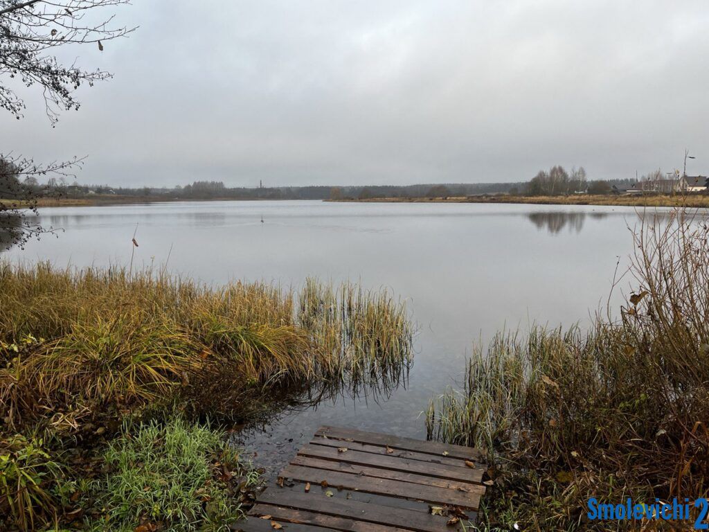 В Драчковском сельсовете с аукциона продадут 3 земельных участка