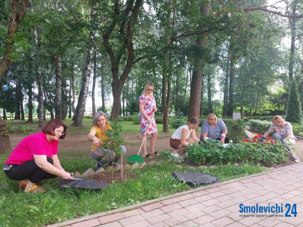 Жителей района предупредили о тотальной уборке и напомнили о главных требованиях к содержанию участков