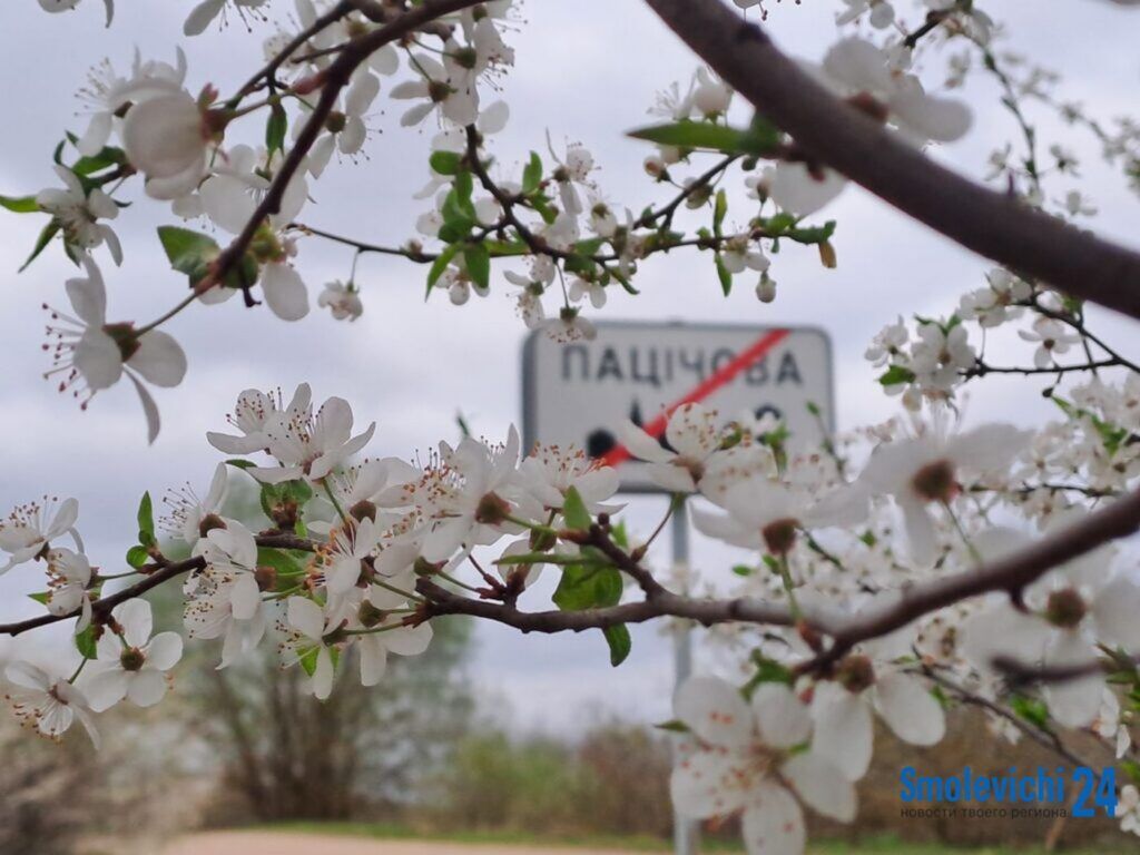 От 4 до 13 тысяч. В Курганском сельсовете на аукцион выставили 4 участка