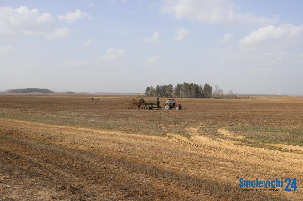 99% готовности и 300 тыс. тонн кормов: в райисполкоме обсудили готовность к посевной