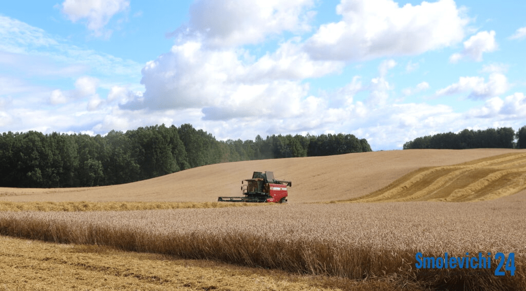 Лукашенко потребовал обеспечить централизованные закупки для села