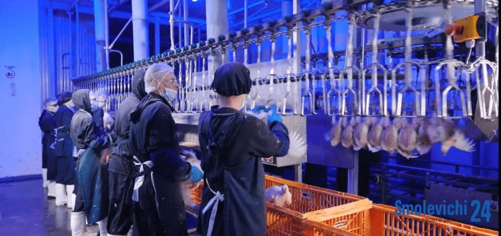 Стартовал прием заявок на районный смотр-конкурс по охране труда