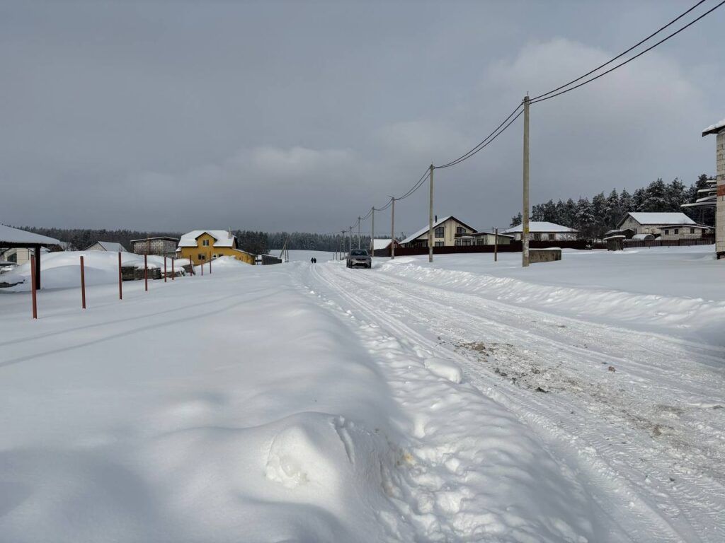 Земельный участок под магазин в Батуринке выставлен на торги