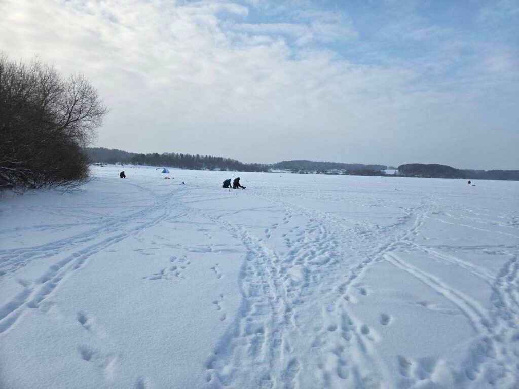 Что делать, если ваш двор затопило и как справиться с паводком?