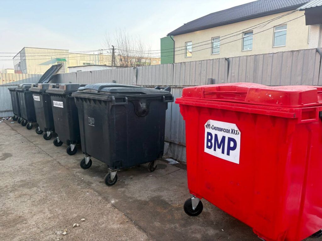 Почему важно вовремя вывозить мусор? Разъяснили специалисты Смолевичского районного центра гигиены и эпидемиологии