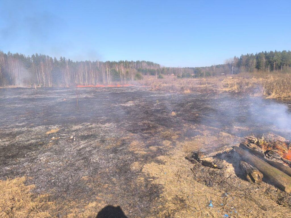 Осторожно, весна. В Смолевичском районе — первые случаи возгорания сухой травы