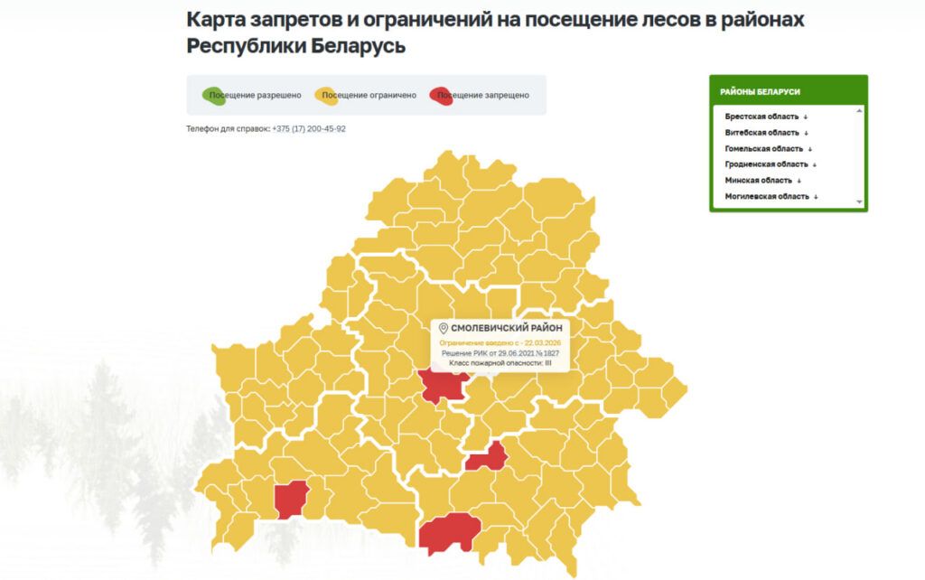 В Беларуси введены первые в сезоне запреты на посещение лесов