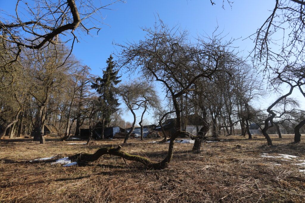 Вы знаете, что в Шипянах есть танцующий сад?