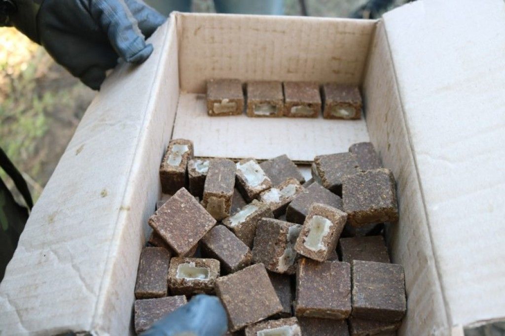 В Смолевичском районе начнут разбрасывать приманки для вакцинации диких животных