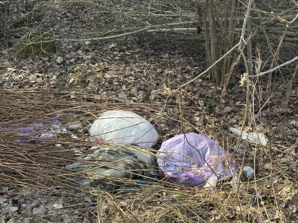 Вместо подснежников — пластик: как фотоловушки ловят нарушителей в смолевичских лесах