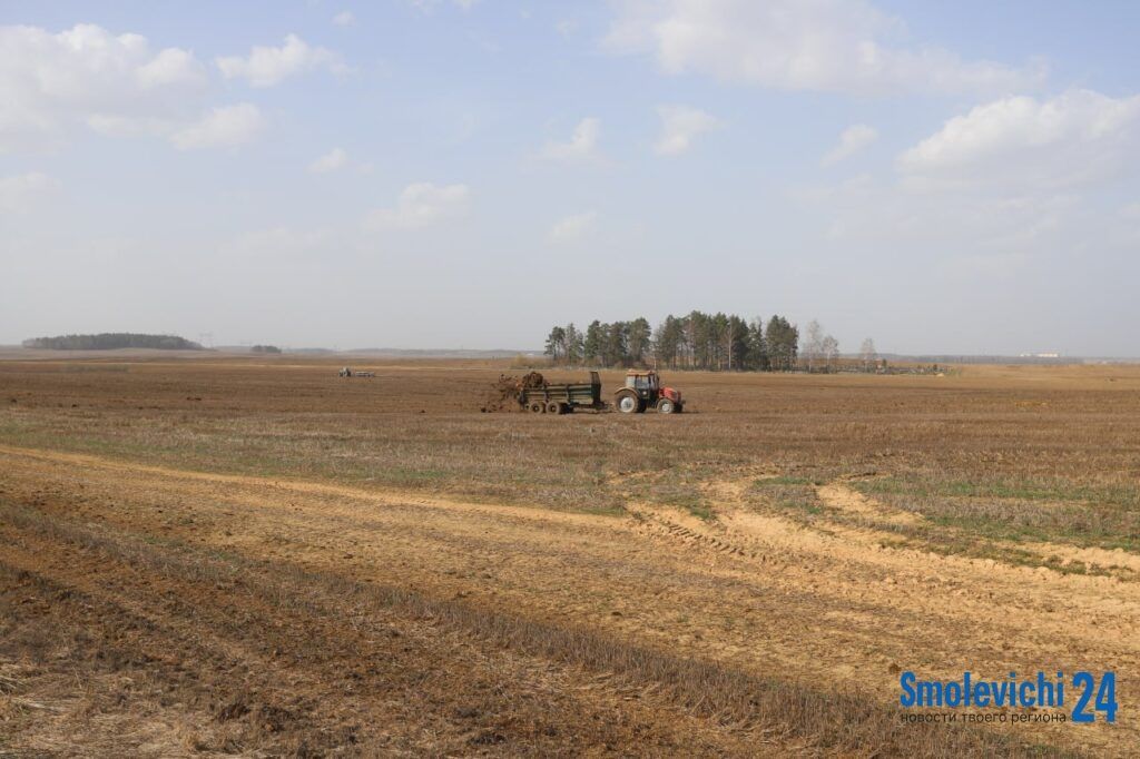 Заканчивают посев ранних яровых