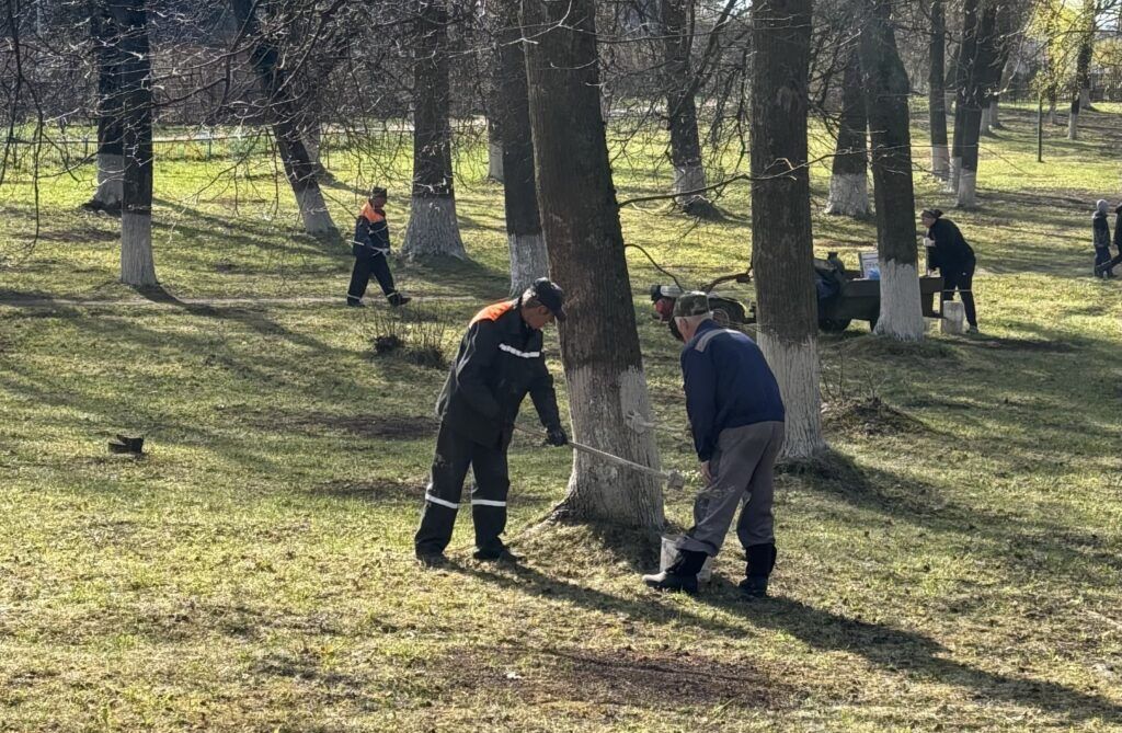 Узнали, как трудились в сельсоветах на республиканском субботнике