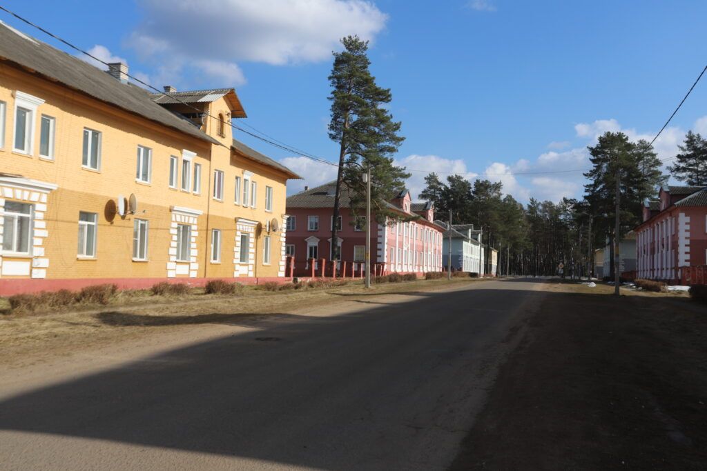 Узнали, как неравнодушные зеленоборцы поддерживают красоту атмосферного поселка