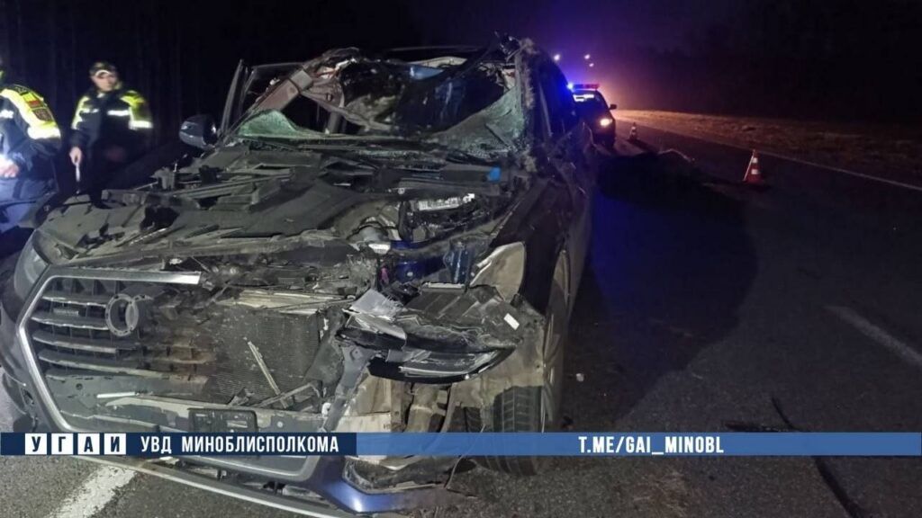 Трагедия на трассе М-1: в столкновении с лосем погиб пассажир автомобиля