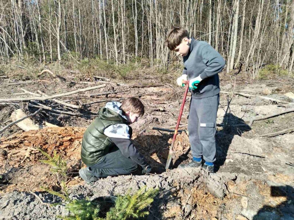 Лес, добро и будущее. Узнали, как прилепские школьники отметили День единения