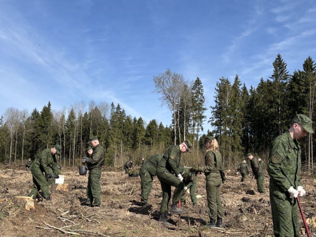 Семь тысяч саженцев. Связисты присоединились к республиканской акции «Лес! Дабро! Парадак!»