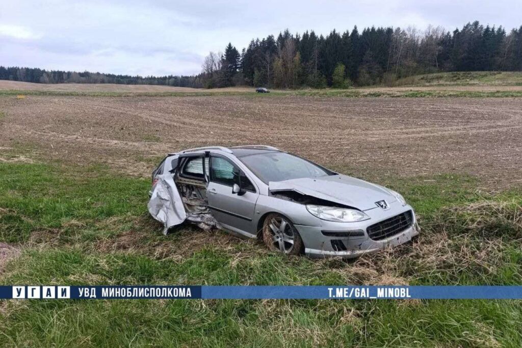 В Смолевичском районе водитель Peugeot ушел от столкновения с животным и съехал в кювет