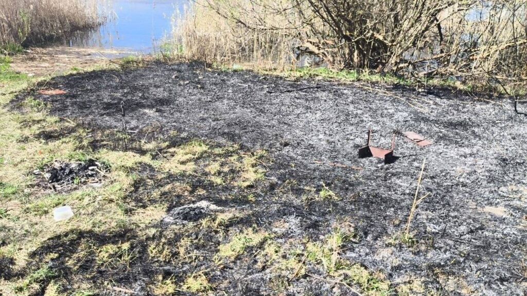 В Заречье огонь уничтожил 50 квадратных метров сухой травы