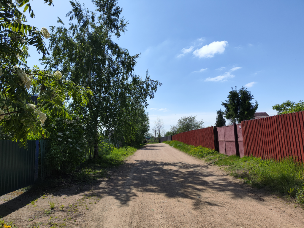 Как бабушка с внуками раскрыли секрет названия их агрогородка Драчково