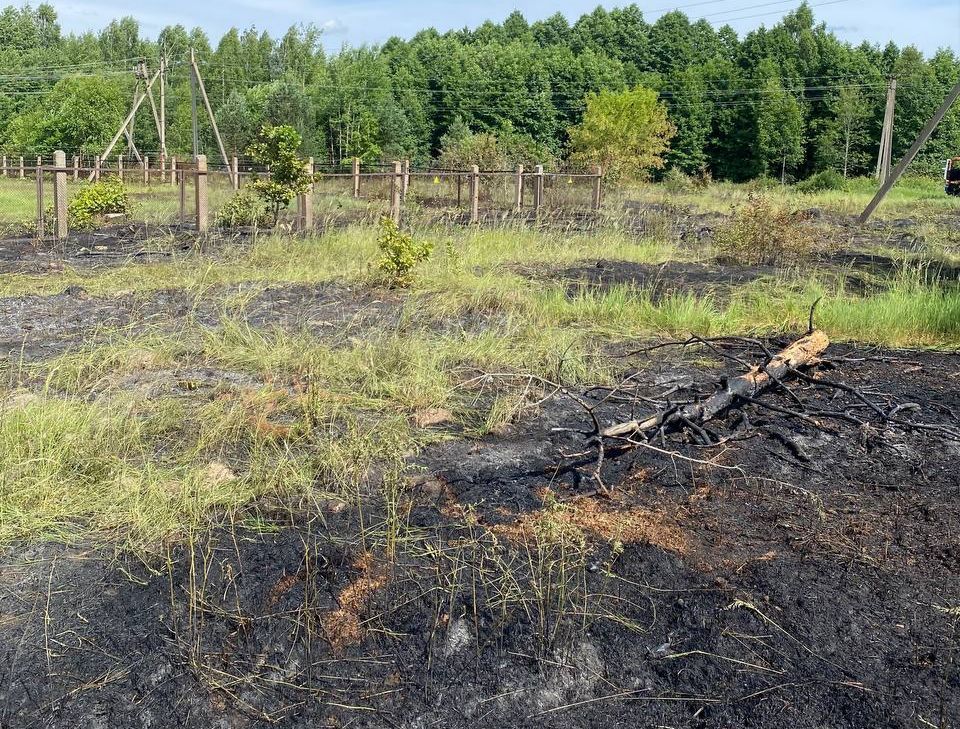 В Зелёном Бору загорелась сухая растительность