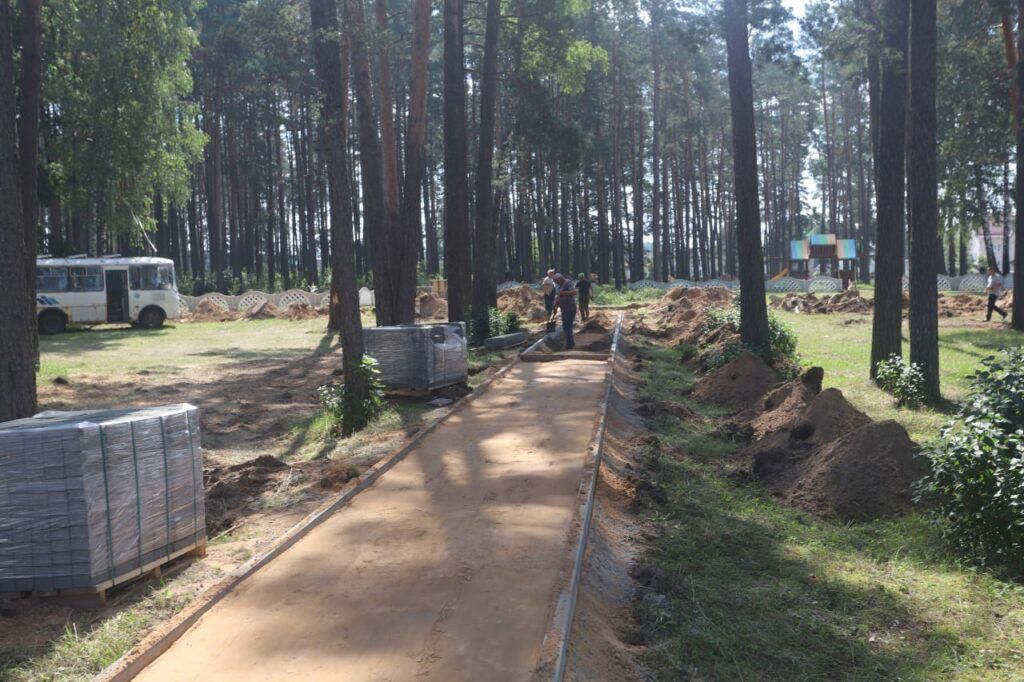 Рассказываем, что происходит в Зеленоборском парке