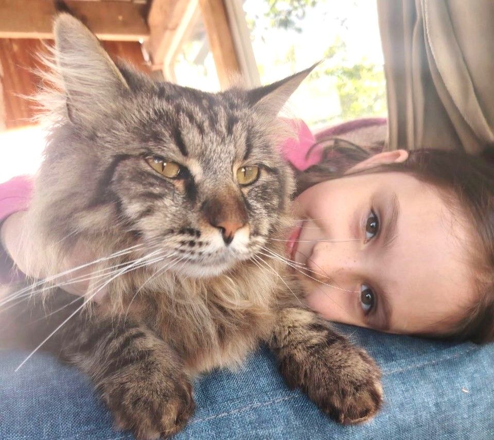 Почему семья из российского Владимира выбрала для жизни Смолевичи