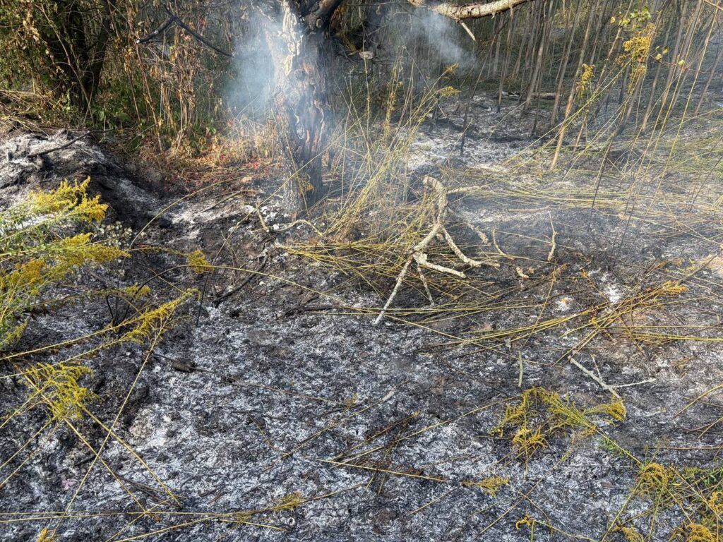 В Николаевичах сгорело 30 квадратов сухой растительности