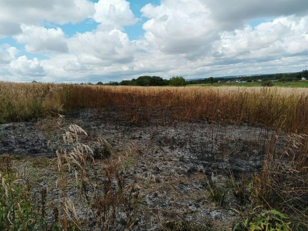В деревне Шпаковщина произошел пожар сухой растительности