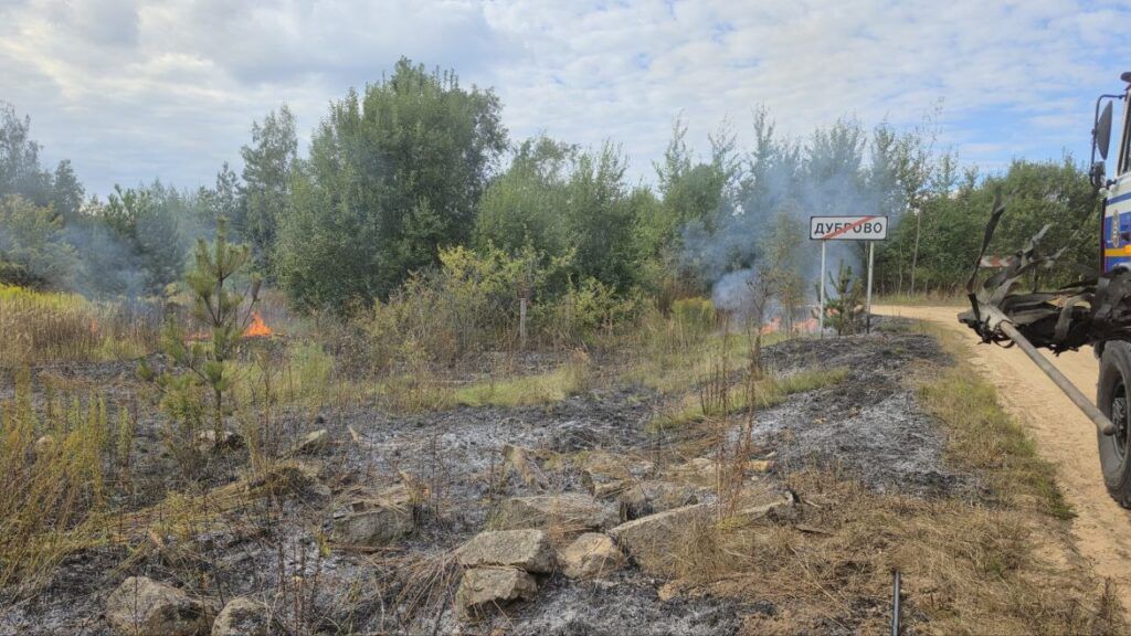 Неосторожность с огнем привела к пожару сухой травы в деревне Дубраво