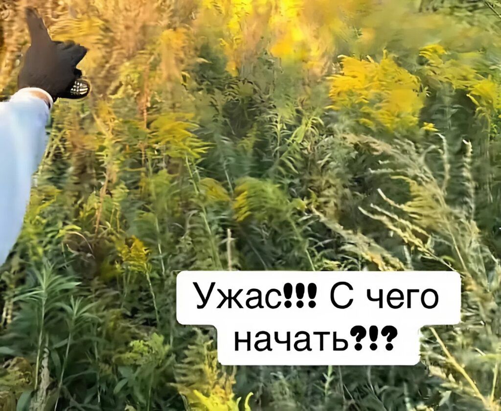 Многодетная семья недовольна предоставленным участком в Черницком. Что ответил сельисполком?