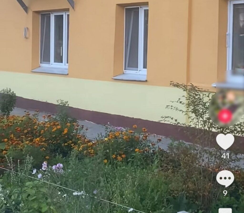 «Одна надежда на TikTok» – жительница Усяжа пожаловалась в соцсетях на нескошенную траву