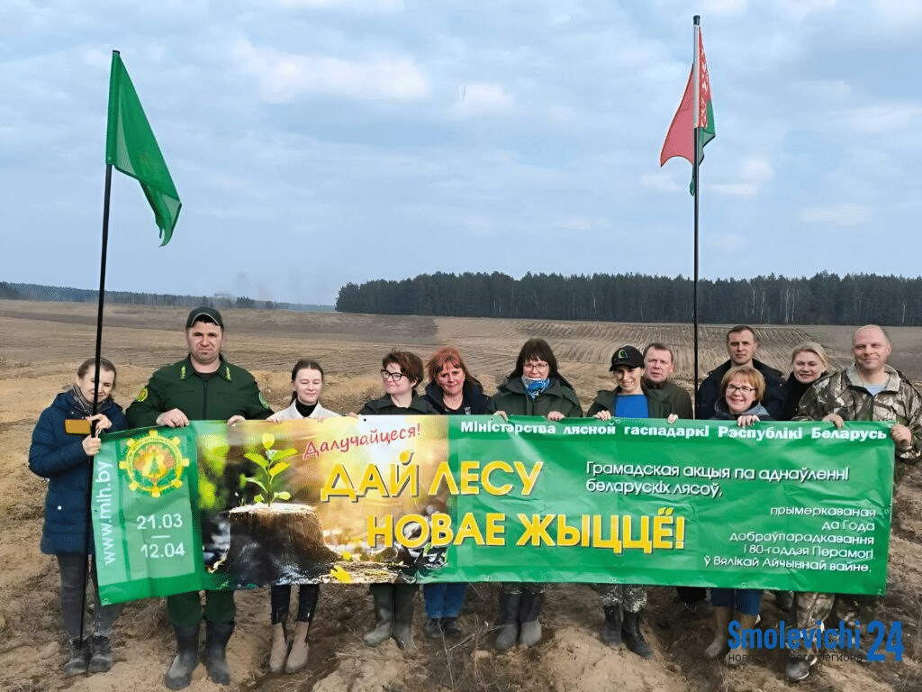 На Смолевиччине пройдет республиканская акция «Дай лесу новае жыццё!»
